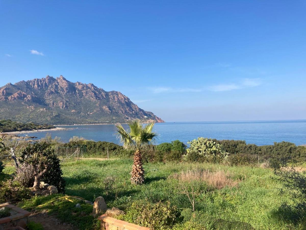 Apartamento Il Bacio Del Sole Tertenìa Exterior foto